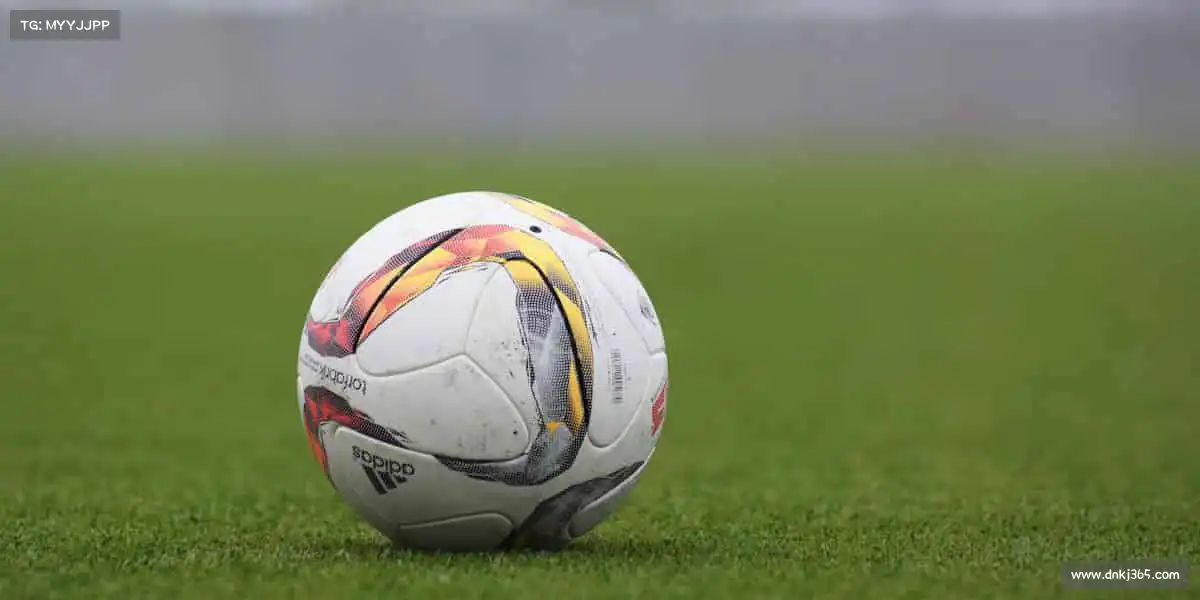 J9集团平台——🏇马术优雅,掌控每一步节奏🐎